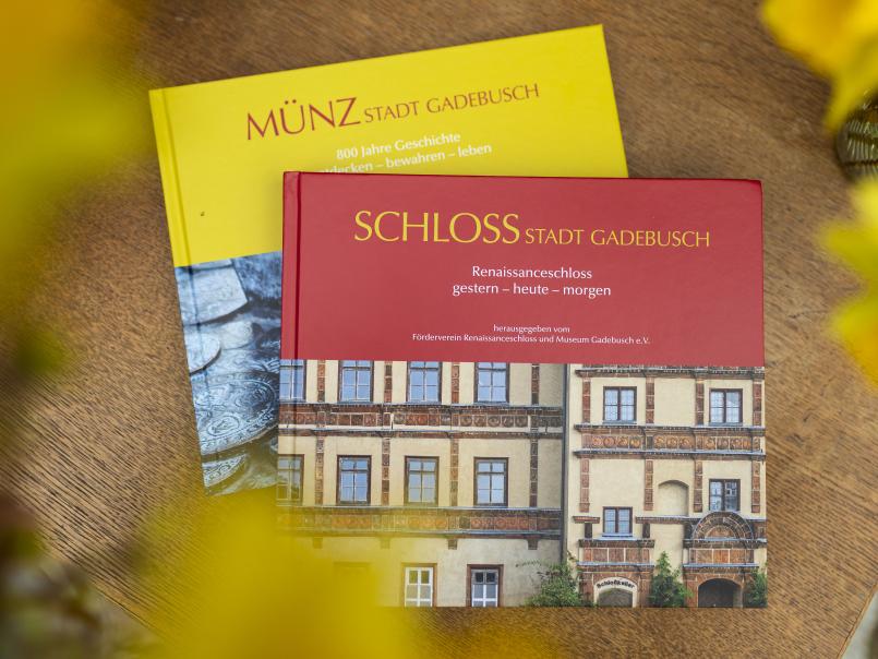Vorschaubild Schlossbuch SCHLOSS Stadt Gadebusch